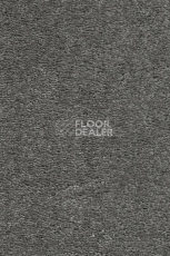 Ковролин AW Invictus Heroicus 95 фото 1 | FLOORDEALER